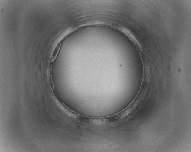 X0000071830805200607211800