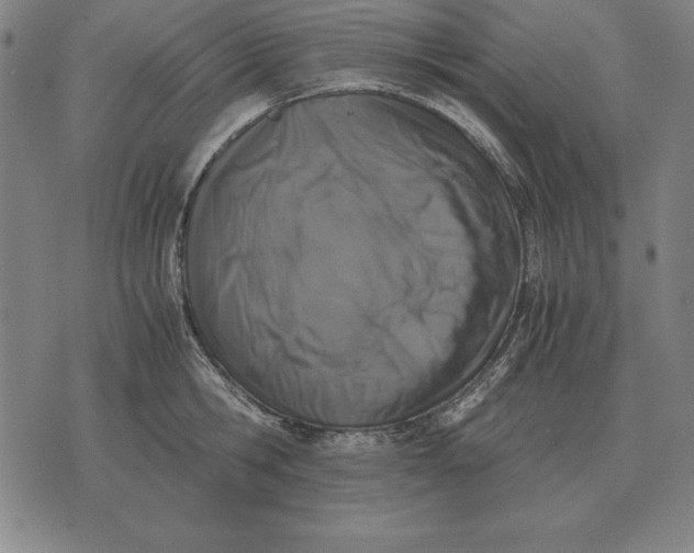 X0000071830806200607211800