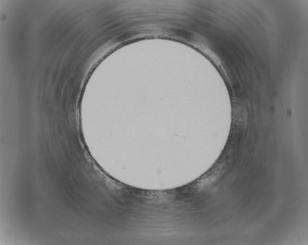 X0000071830807200607211800