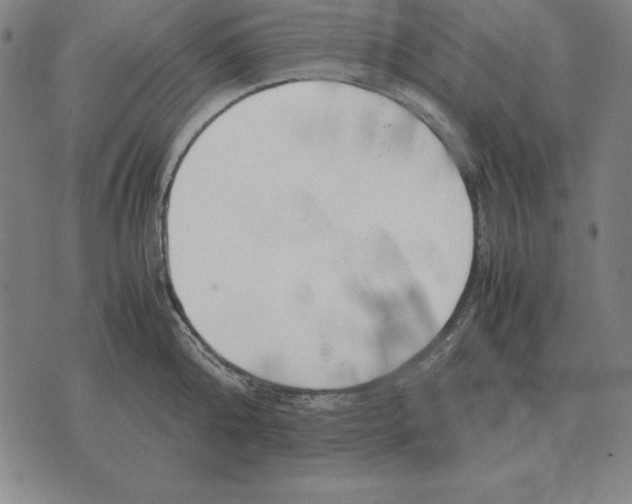 X0000071830808200607211800