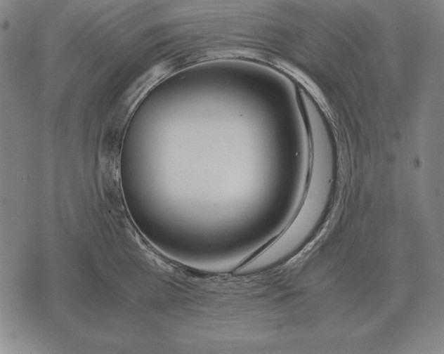 X0000071830809200607211800