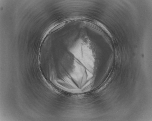 X0000071830810200607211800