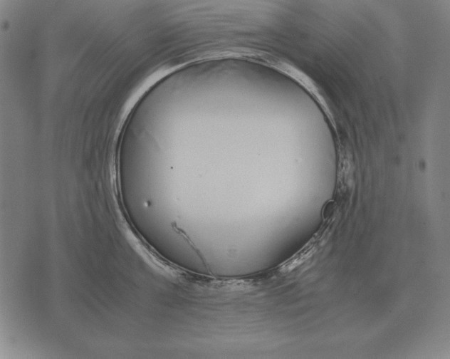 X0000071830811200607211800