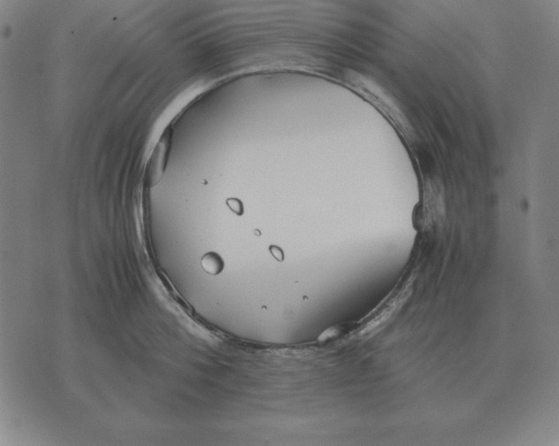 X0000071830812200607211800