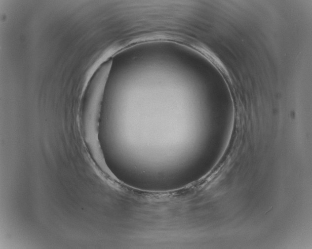 X0000071830813200607211800