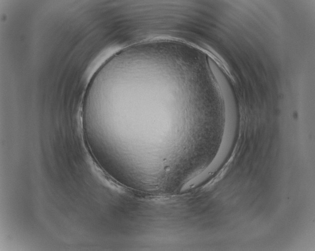 X0000071830814200607211800