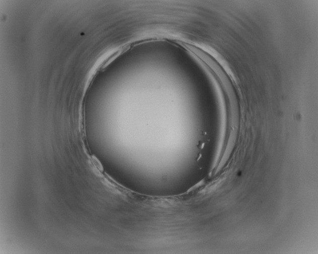 X0000071830815200607211800