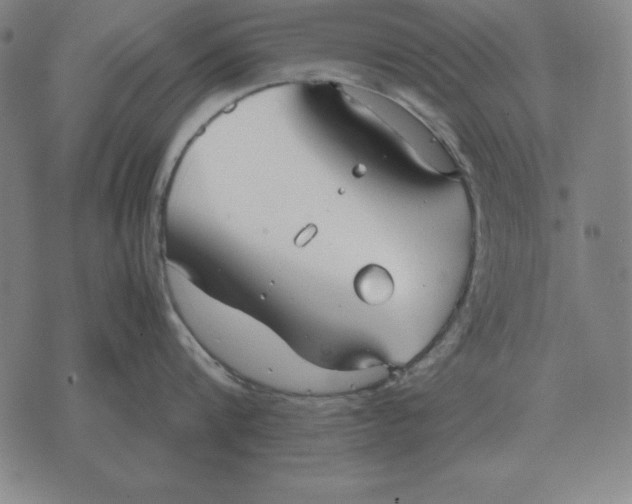 X0000071830816200607211800