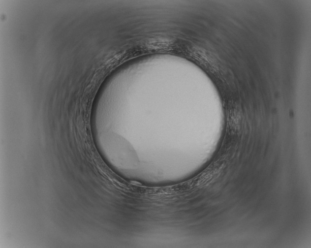 X0000071830817200607211759