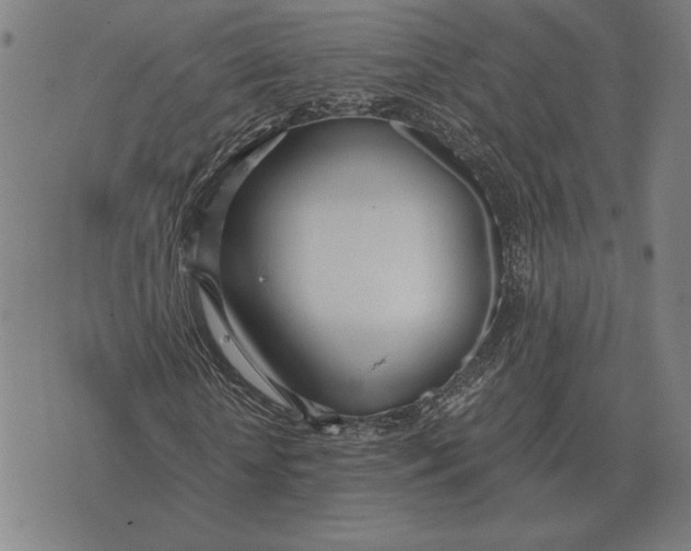 X0000071830818200607211759