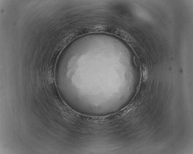 X0000071830819200607211759