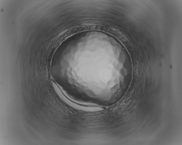 X0000071830821200607211759