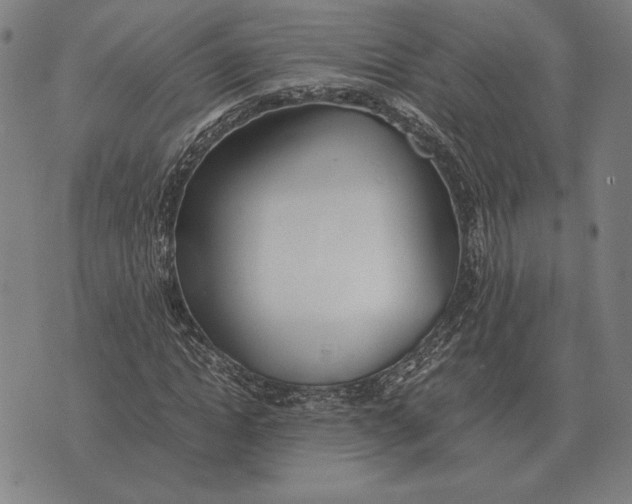 X0000071830822200607211759