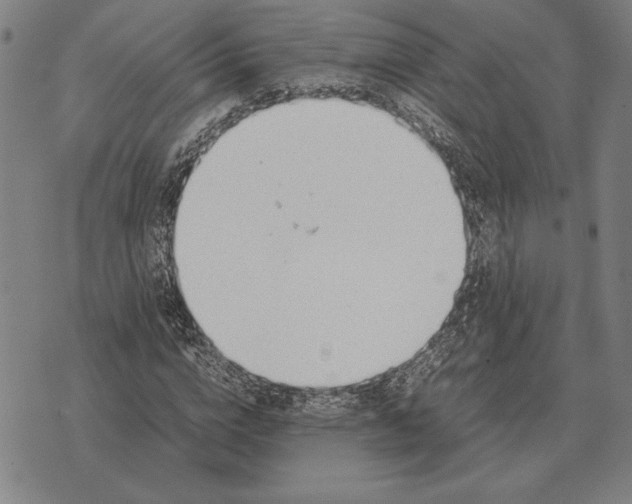 X0000071830824200607211759