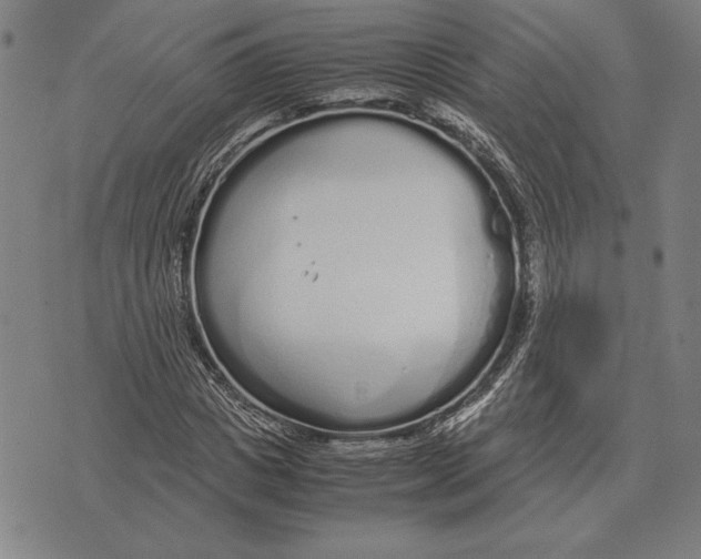 X0000071830825200607211759