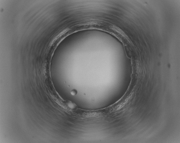 X0000071830826200607211759