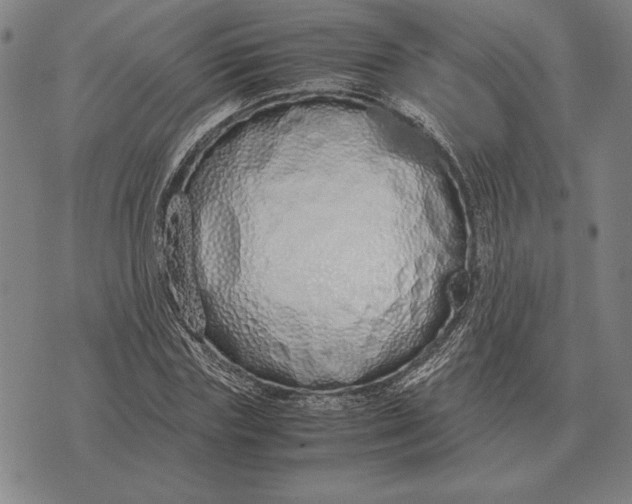 X0000071830827200607211759