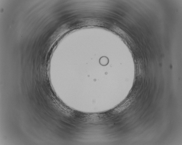 X0000071830828200607211759