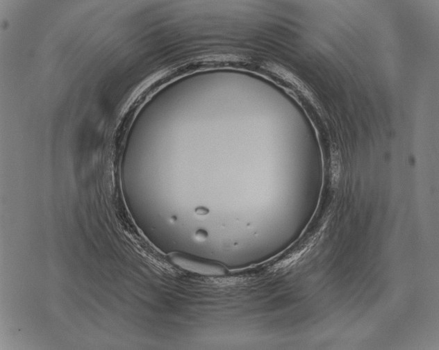 X0000071830829200607211759