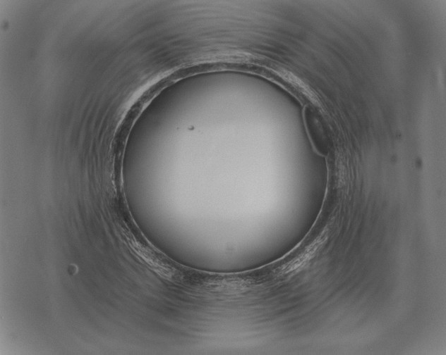 X0000071830830200607211759