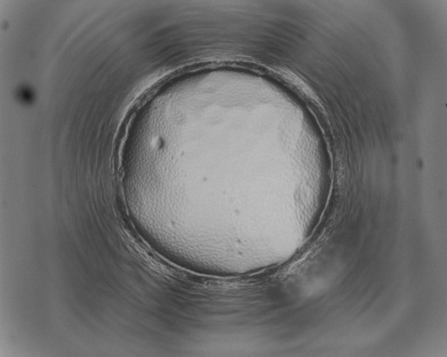 X0000071830831200607211759