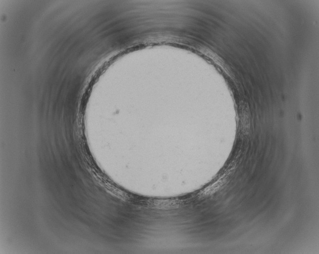 X0000071830832200607211759