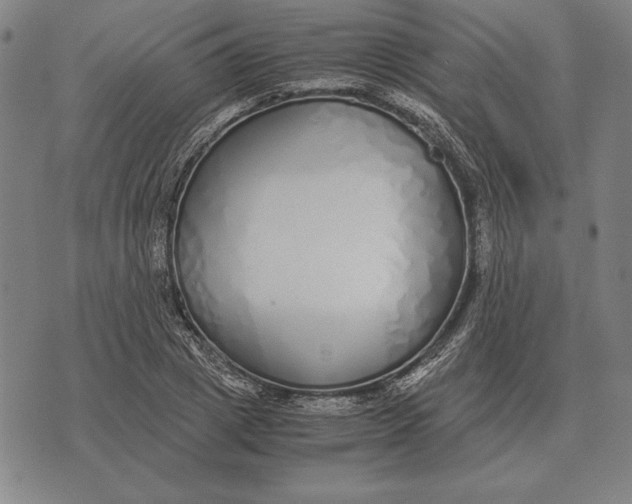 X0000071830833200607211759