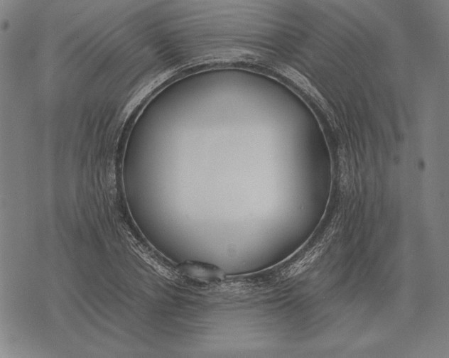 X0000071830834200607211759