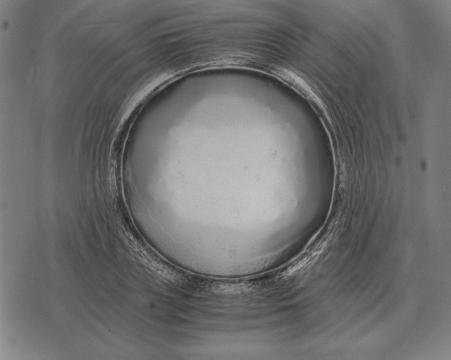 X0000071830835200607211759