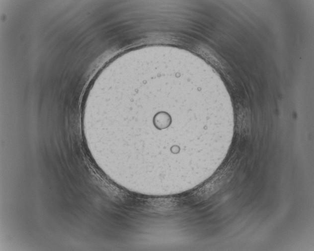 X0000071830836200607211759