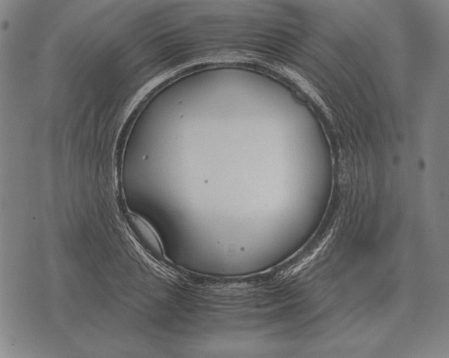 X0000071830837200607211759