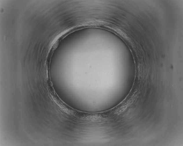 X0000071830838200607211759