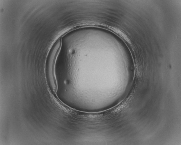 X0000071830839200607211759