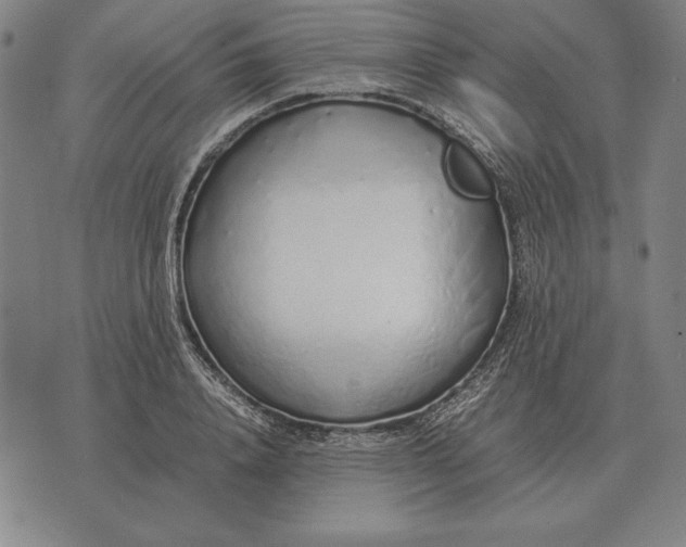 X0000071830840200607211759