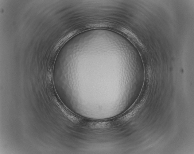 X0000071830841200607211800