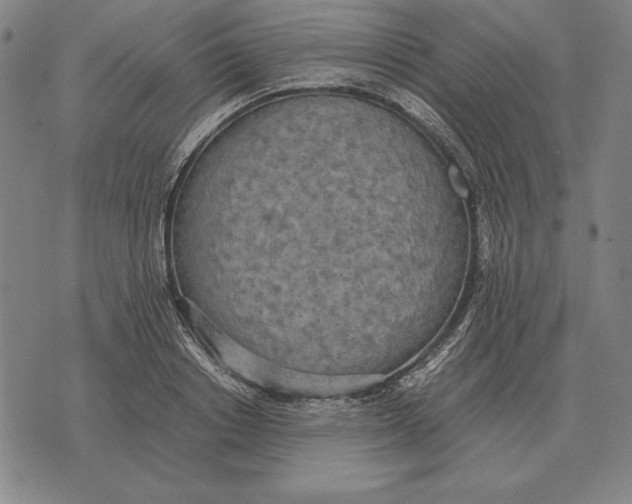 X0000071830842200607211800