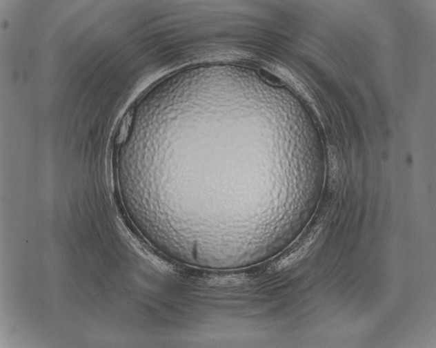 X0000071830843200607211800