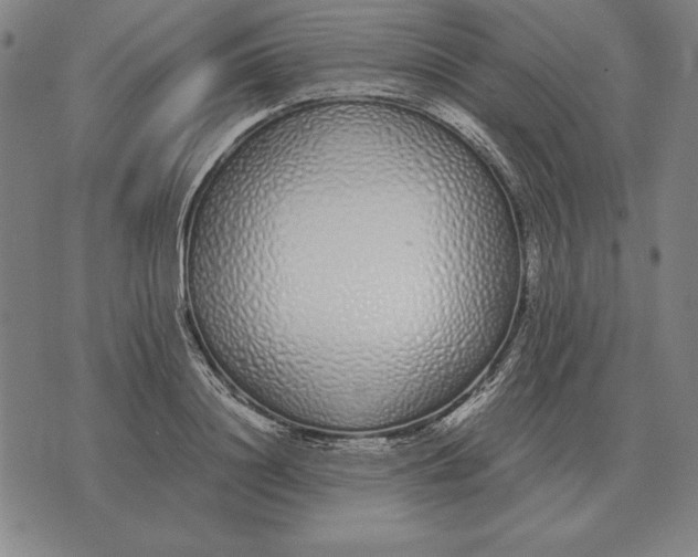 X0000071830844200607211800