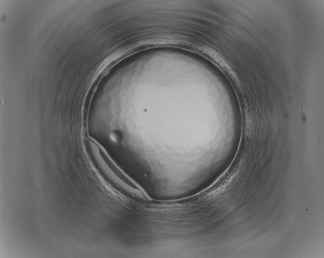 X0000071830845200607211800