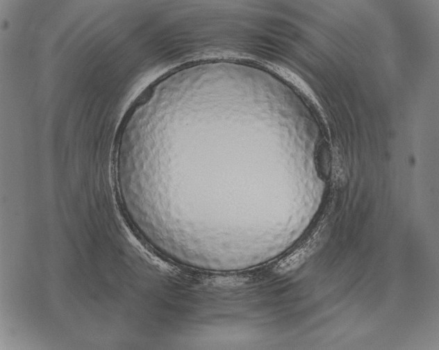 X0000071830847200607211800