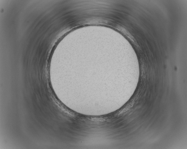 X0000071830848200607211800