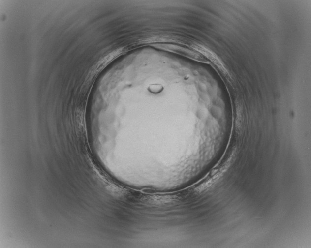 X0000071830849200607211800