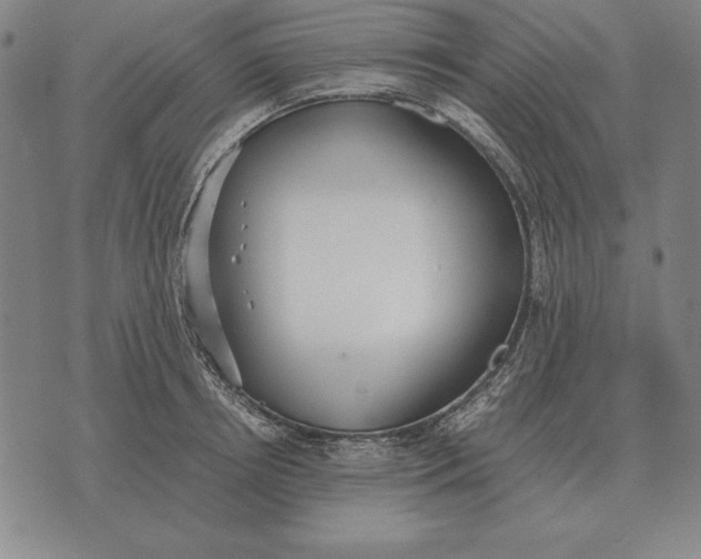 X0000071830850200607211800