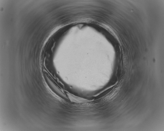 X0000071830851200607211800