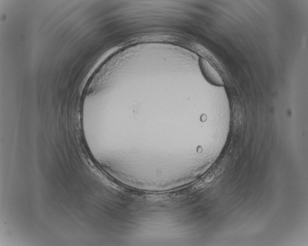 X0000071830852200607211800