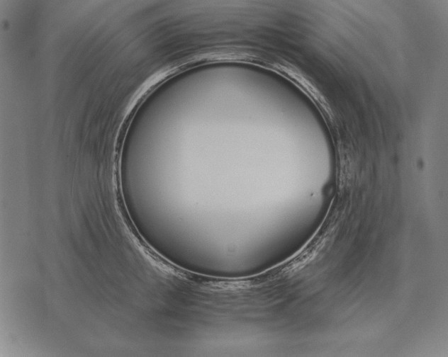 X0000071830853200607211800