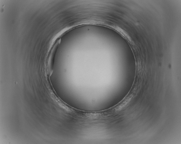 X0000071830854200607211800