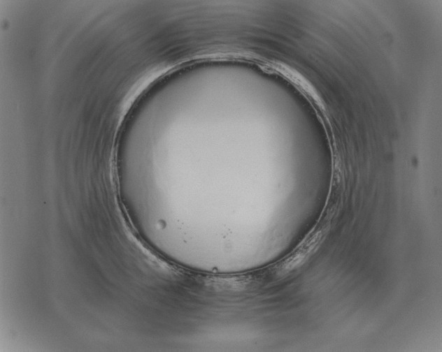 X0000071830855200607211800