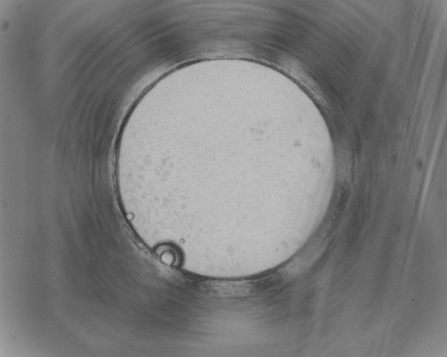 X0000071830856200607211800