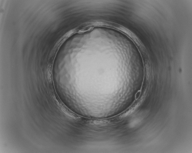 X0000071830857200607211800